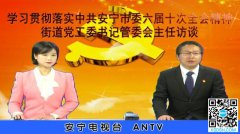 访太平新城街道党工委副书记、办事处主任唐...