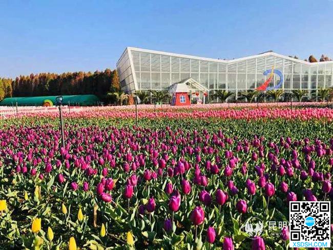 微信图片_20200302174206 微信图片_20200302174206