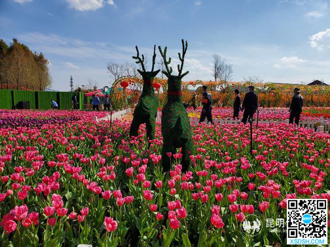 微信图片_20200302173834 微信图片_20200302173834