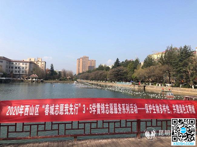 环西桥“保护生物多样性”志愿服务。 环西桥“保护生物多样性”志愿服务。