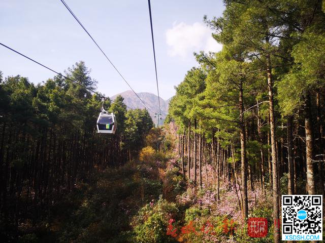 苍山大索道恢复运营！到本月底 大理多个景...