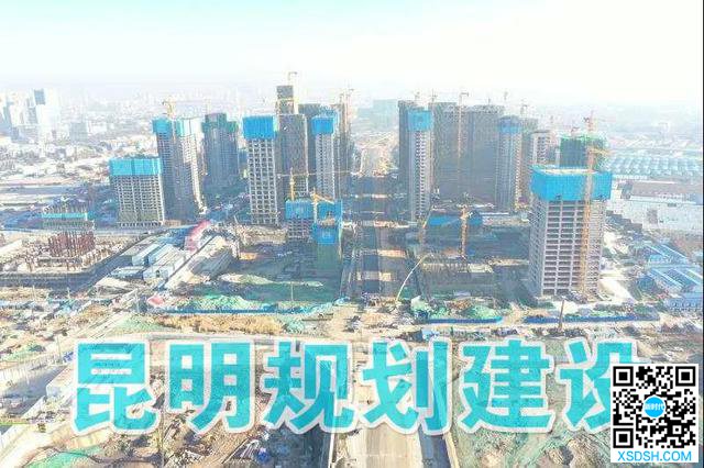 巫家坝片区总部经济集聚效应初显2.jpg