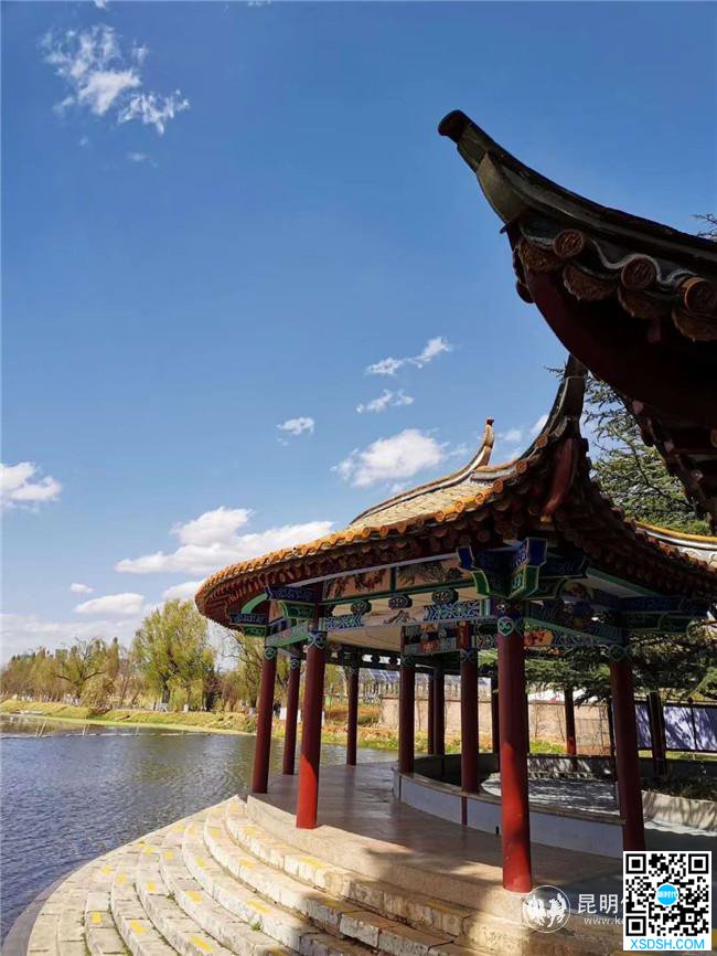 QQ图片20200318173302 QQ图片20200318173302