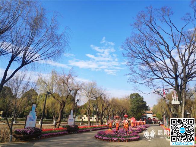 QQ图片20200318170129 QQ图片20200318170129