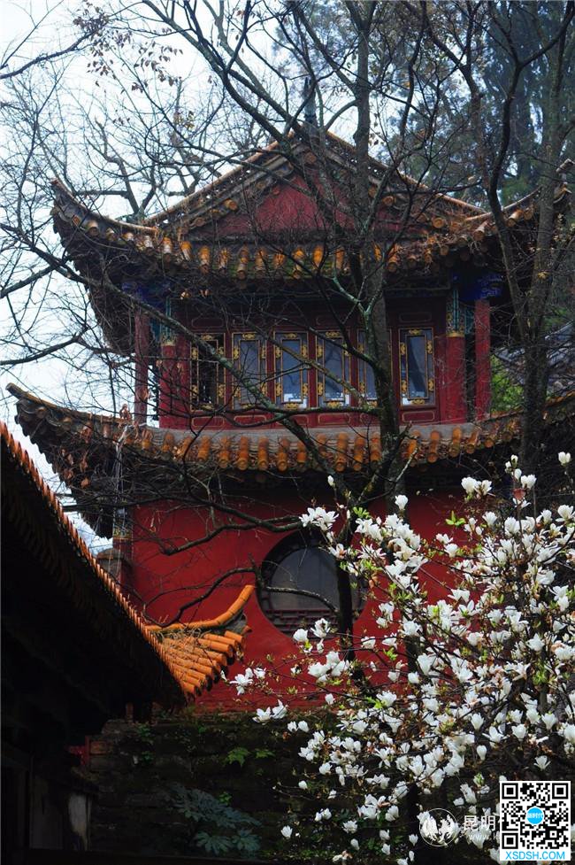 QQ图片20200318165927 QQ图片20200318165927