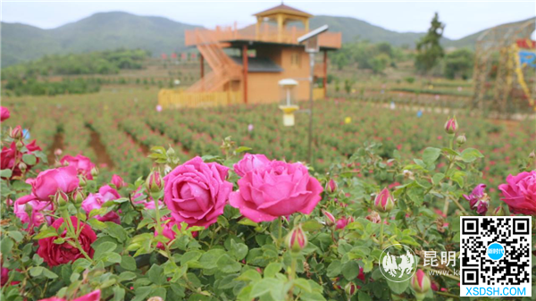 图片11 图片11