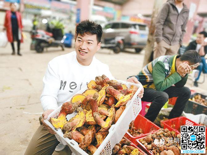 多地持续降雨 野生菌量增价跌