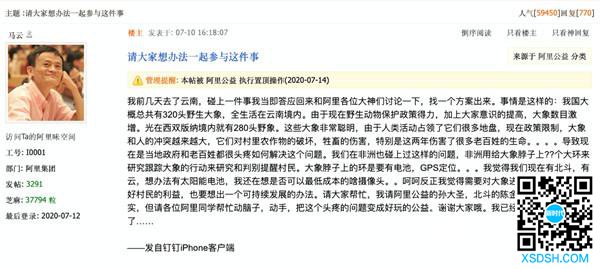 马云阿里内网发帖号召员工解决云南人象冲突...