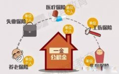 五险一金没变六险二金 补充险不具法定强制...